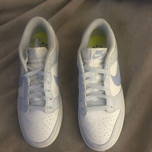 Nike Women’s Dunk low Next Nature shoes